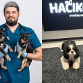Veterinarijos gydytojas Vilius Urbonas / &bdquo;Hačiko&ldquo; klinika