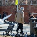 Lukas Balandis/BNS nuotr. &Scaron;alyje skurdą dažniausiai patiria senjorai
