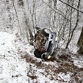 Avarijos vietoje