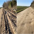 Smiltynų kelias Domeikavos seniūnijoje