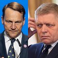 Radoslawas Sikorkis, Robertas Fico