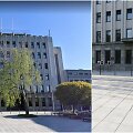 Kauno savivaldybė žadėjo atsodinti nupjautą beržą, bet pažado neįvykdė