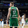 Ignas Brazdeikis
