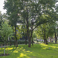 Vilniaus Reformatų skvero atidarymas