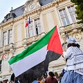 Palestinos vėliava