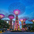 Singapūro sodai (Gardens by the Bay) 