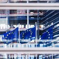 Europos Sąjungos vėliavos