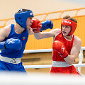 2026 m. Dano Pozniako vardo jaunimo bokso turnyras