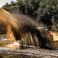 Kadras i&scaron; 2025 m. Safari ralio. WRC organizatorių &bdquo;facebook&ldquo; puslapyje patalpinta nuotr.