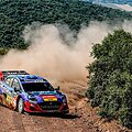 Akimirka i&scaron; Graikijos ralio. WRC organizatorių &bdquo;facebook&ldquo; puslapyje patalpinta nuotr.