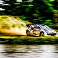 WRC organizatorių &bdquo;facebook&ldquo; puslapyje patalpinta nuotr.
