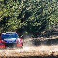 WRC organizatorių &bdquo;facebook&ldquo; puslapyje patalpinta nuotr.
