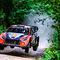 WRC organizatorių &bdquo;facebook&ldquo; puslapyje patalpinta nuotr.