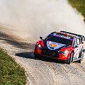 WRC organizatorių &bdquo;facebook&ldquo; puslapyje patalpinta nuotr.