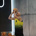 Hibridinis krep&scaron;ins