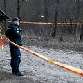 Ant Lavyso ežero nukritęs objektas