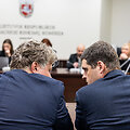 Vaidotas Sviderskis, Remigijus Žemaitaitis
