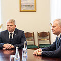 Andrius Palionis, Gitanas Nausėda
