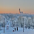 Žiemi&scaron;ki &Scaron;iauliai