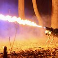 Robotas &bdquo;Thermonator&ldquo;