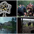 Pretendentai gauti &bdquo;Ąžuolo&ldquo; apdovanojimą
