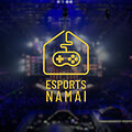 Esports namai