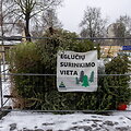 Eglučių surinkimo vieta