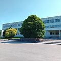 Turto bankui perduotas objektas