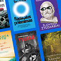 Lietuvos ra&scaron;ytojų sąjungos leidyklos knygos