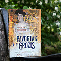 &bdquo;Pavogtas grožis&ldquo;  