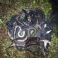 Tarp &Scaron;akarvų ir Žeimenio ežerų Ignalinos rajone neteisėtai pastatytą ungurinė gaudyklė, kurioje buvo rasti 8 unguriai