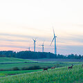 Lietuvos vėjo energetikai &ndash; 20 metų: nuo pirmųjų žingsnių iki energetinės nepriklausomybės