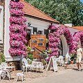 Savaitgalį dvaras paskęs gėlėse