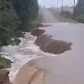 Liūtis Latvijoje