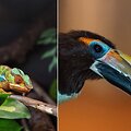 Vilniaus zoologijos sode &ndash; nauji gyventojai