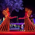 Svarbu žinoti planuojantiems aplankyti &scaron;viesų festivalius: reklamose to nepamatysite