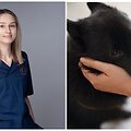 Veterinarijos gydytoja &ndash; dermatologė Daiva Jankauskaitė/ &Scaron;iperko veislės &scaron;uo