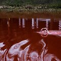 &bdquo;Swimming Through / (Iš)plaukti&ldquo;. 2022.