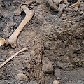 Archeologiniai tyrinėjimai 