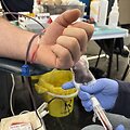 NKC pristato atnaujintą programėlę &bdquo;Mano kraujas&ldquo;: donorai realiu laiku matys, kur ir kada panaudojamas jų kraujas