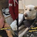 Rūta Mikelkevičiūtė ir jos &scaron;uo Bugas