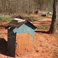 Čia, nedideliame žemės plotelyje, du Džordžijos valstijos gyventojai laikė de&scaron;imtis kovoms naudojamų &scaron;unų.