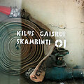 Gaisrinė žarna