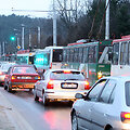 Plikledis Vilniuje