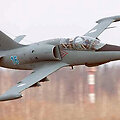 Lietuvių L-39ZA &bdquo;Albatross&ldquo;
