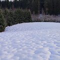 Plungės r. 2025-11-22, 9:26 val.