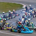 Baltijos &scaron;alių kartingo čempionatas