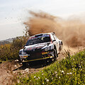 Rally Elektrėnai