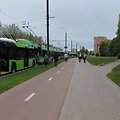 Sustojęs troleibusų eismas P. Luk&scaron;io gatvėje / Skaitytojų nuotr.