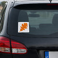 Ąžuolo lapo simbolis. Taip siūloma žymėti senjorų automobilius